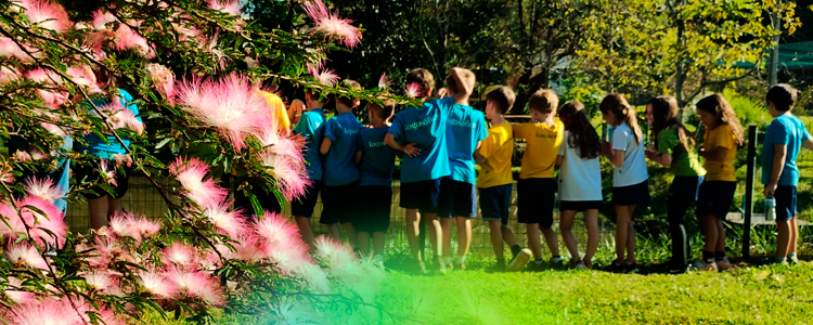 banner_700x350_3